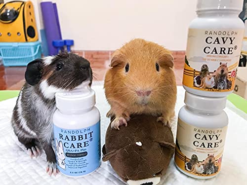 RANDOLPH Cavy Food Care 70 g. IMMUNOSTIMULANTS & Vitamin C Supplement Recovery & Booster Energy for Guinea Pig & Herbivores Small Pet, Probiotics Improved Digestion Best Prevent Healthy Rabbit Feed