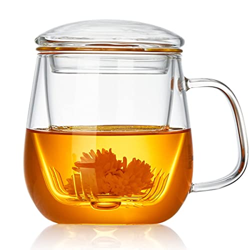 DOPUDO PAVILION Glass Tea Cup with Infuser and Lid, 17.6oz/ 520ml Borosilicate Glass Large Tea Mug with Infuser, Clear Teacup for Loose Leaf Tea, Blooming Tea, Tea Bag