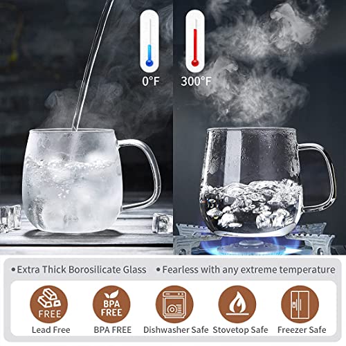 DOPUDO PAVILION Glass Tea Cup with Infuser and Lid, 17.6oz/ 520ml Borosilicate Glass Large Tea Mug with Infuser, Clear Teacup for Loose Leaf Tea, Blooming Tea, Tea Bag