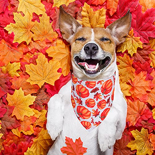 PTDECOR 4 Pack Thanksgiving Dog Bandanas Fall Autumn Dog Puppy Bandana Adjustable Dog Triangle Scarf Turkey Leaf Pumpkin Pattern Dog Thanksgiving Bandanas for Small Medium Dogs Pets