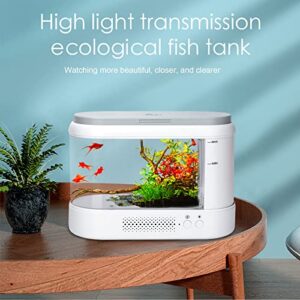 AQQA 1.8 Gallon Multifunction Self-Cleaning Fish Tank,Small Desktop Aquarium Starter Kit,Hidden Filtration with LED Color Light and Aromatherapy Diffusers,Suitable for Home and Office