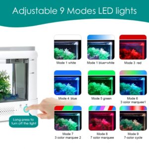 AQQA 1.8 Gallon Multifunction Self-Cleaning Fish Tank,Small Desktop Aquarium Starter Kit,Hidden Filtration with LED Color Light and Aromatherapy Diffusers,Suitable for Home and Office