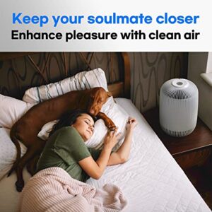 CLAIR Air Purifier for Home Allergies Pollen in Bedroom, H13 TRUE HEPA removes 99.97% Dust, Pet Dander, Smoke, Odor with Activated Carbon&Washable Pre-filter, Auto mode&Air Quality Indicator, K2 White