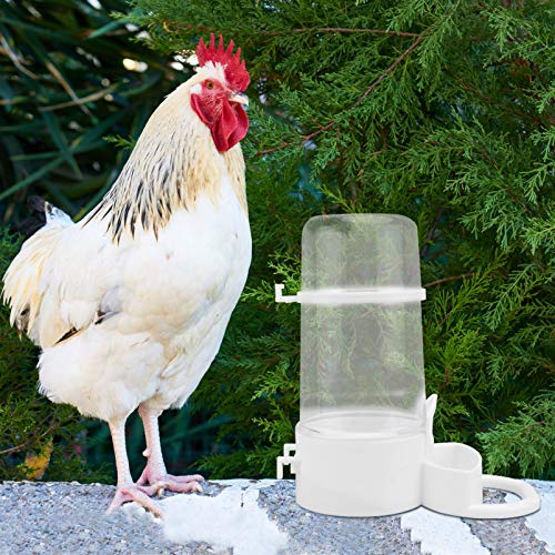 POPETPOP Bird Water Dispenser- Parrot Automatic Feeder Waterer Bottle Drinker Container Hanging on Cage for Parrots Budgie Cockatiel Lovebirds