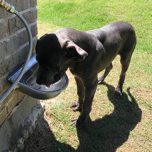 Automatic Cow Drinking Water Bowl, Stainless Steel Feeder Trough Dispenser Waterer for Pet Dog Horse Cattle Goat Sheep, with Float Ball Valves