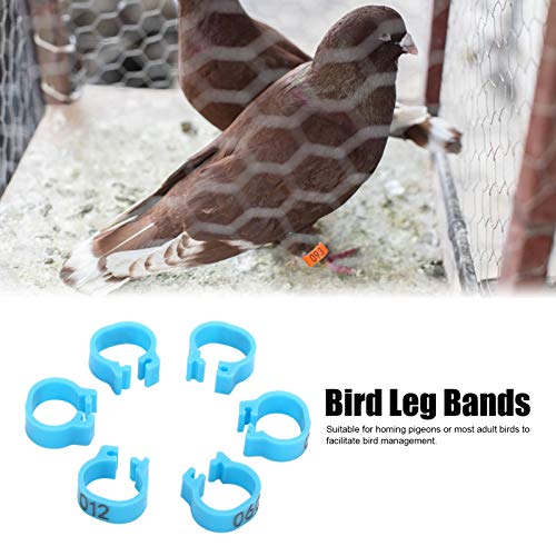 01 Bird Foot Clip, Easy to and Use Poultry Leg Rings and Light Weight Bird Leg Bands for Homing Pigeons for Outdoor(Blue)