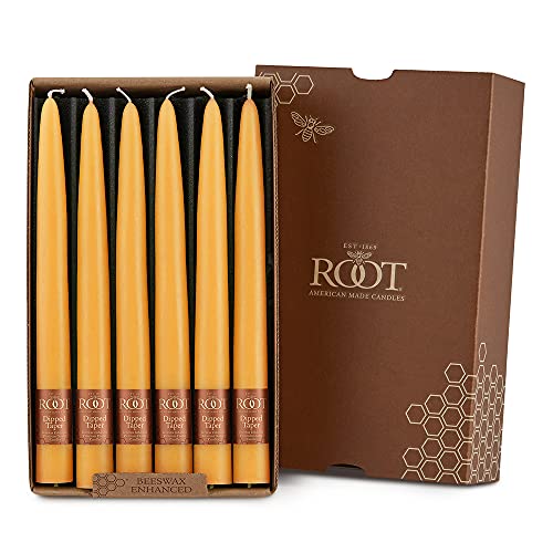 Root Candles Unscented Hand Dipped Taper Candles, 9-Inch Box of 12, Butterscotch