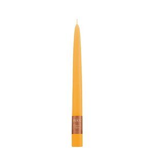 Root Candles Unscented Hand Dipped Taper Candles, 9-Inch Box of 12, Butterscotch