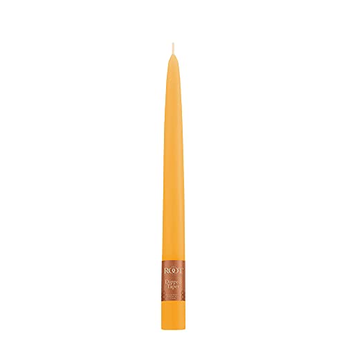 Root Candles Unscented Hand Dipped Taper Candles, 9-Inch Box of 12, Butterscotch