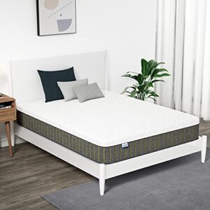 HOXURY Queen Mattress, 10 Inch Hybrid Mattress Queen Size, Memory Foam & Individually Wrapped Pocket Coils Innerspring Mattress in a Box, Pressure Relief & Cooler Sleeping
