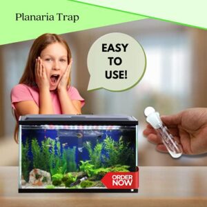 Aquarium Supplies Planaria Trap Crystal Red Shrimp Tank Aquarium Bristle Worm Catcher, Shrimp Dwarf Shrimp Ghost Shrimp Live Freshwater Cleaning Supplies Clear Glass Leeches Catching Tube (3 Holes)