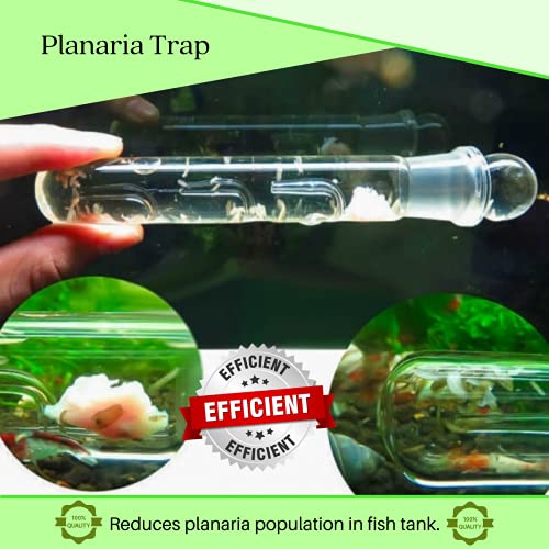 Aquarium Supplies Planaria Trap Crystal Red Shrimp Tank Aquarium Bristle Worm Catcher, Shrimp Dwarf Shrimp Ghost Shrimp Live Freshwater Cleaning Supplies Clear Glass Leeches Catching Tube (3 Holes)