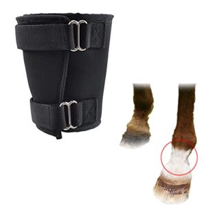 coronet fetlock shield for horse neoprene bedsore boot fetlock sores protector single