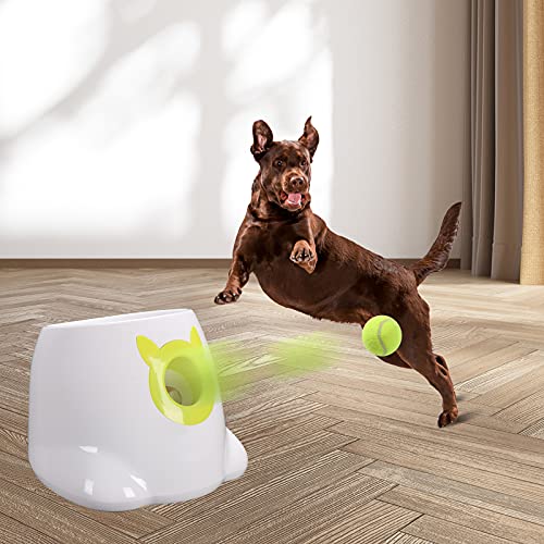 PALULU Automatic Ball Launcher for Dog, 6PCS 2 Inches Balls Included (White)