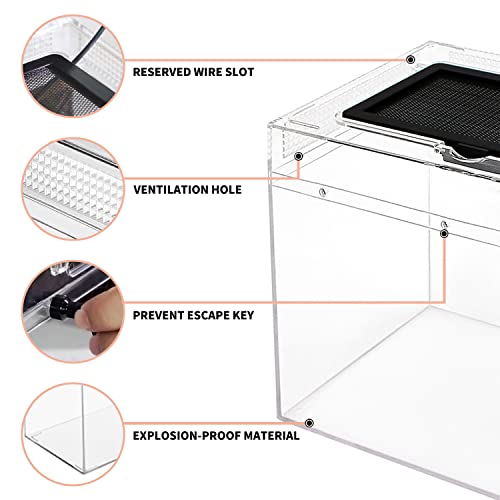 Reptile Growth Reptile Terrarium,16" x 8"x 10" Reptile Tank with Full View Visually Appealing，for Insect，Fish，Tarantula，Hermit Crab，Jumping Spider，Iguana，Tortoise，Leopard Gecko，Frog，Bearded Dragon