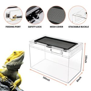 Reptile Growth Reptile Terrarium,16" x 8"x 10" Reptile Tank with Full View Visually Appealing，for Insect，Fish，Tarantula，Hermit Crab，Jumping Spider，Iguana，Tortoise，Leopard Gecko，Frog，Bearded Dragon