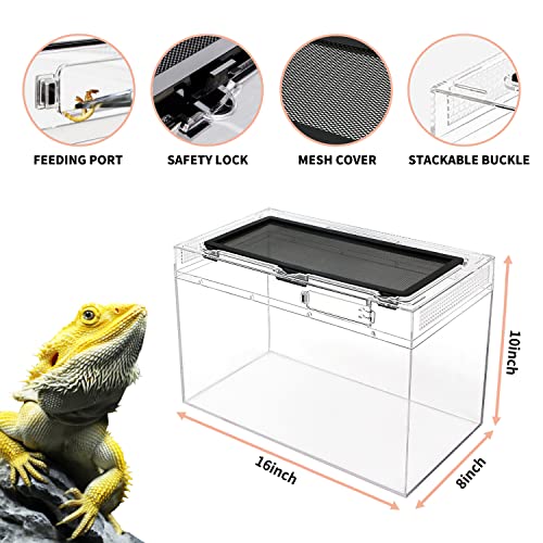 Reptile Growth Reptile Terrarium,16" x 8"x 10" Reptile Tank with Full View Visually Appealing，for Insect，Fish，Tarantula，Hermit Crab，Jumping Spider，Iguana，Tortoise，Leopard Gecko，Frog，Bearded Dragon