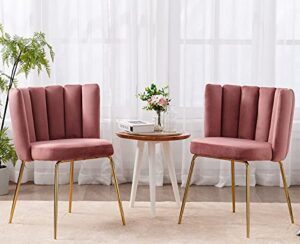 dm furniture velvet dining chairs set of 2 modern accent chair upholstered side chair with gold metal legs for home kitchen living room, pink