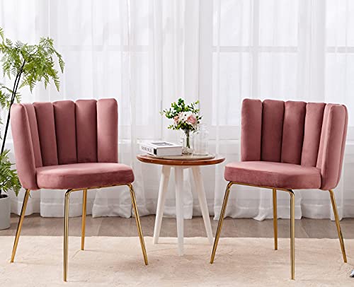 DM Furniture Velvet Dining Chairs Set of 2 Modern Accent Chair Upholstered Side Chair with Gold Metal Legs for Home Kitchen Living Room, Pink