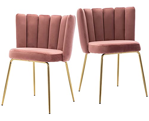 DM Furniture Velvet Dining Chairs Set of 2 Modern Accent Chair Upholstered Side Chair with Gold Metal Legs for Home Kitchen Living Room, Pink