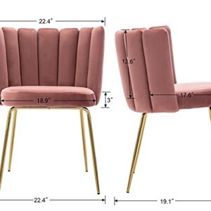 DM Furniture Velvet Dining Chairs Set of 2 Modern Accent Chair Upholstered Side Chair with Gold Metal Legs for Home Kitchen Living Room, Pink