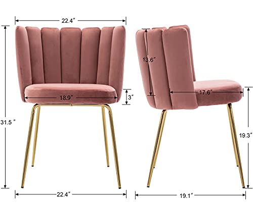 DM Furniture Velvet Dining Chairs Set of 2 Modern Accent Chair Upholstered Side Chair with Gold Metal Legs for Home Kitchen Living Room, Pink