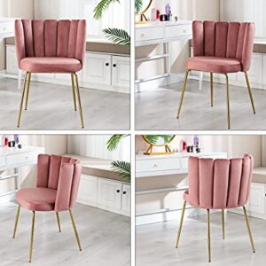 DM Furniture Velvet Dining Chairs Set of 2 Modern Accent Chair Upholstered Side Chair with Gold Metal Legs for Home Kitchen Living Room, Pink