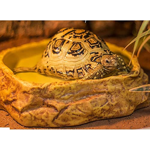 Reptile Water Dish,Resin Reptile Rock Food Feeder Bowl, Water and Food Bowl,Terrarium Decor for Leopard Gecko, Lizard,Spider,Turtle,Scorpion, Chameleon,Hermit Crabs (M, Yellow)