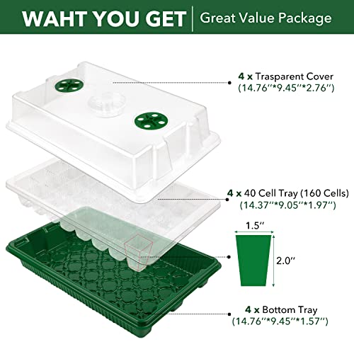 YAUNGEL Seed Starting Trays, XL Thicken Seed Starter Tray Kit with Humidity Dome Durable Growing Trays for Greenhouse & Gardens, 4 Pack 160 Cells, Green