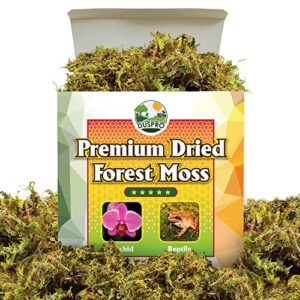 duspro premium dried forest moss for potted plants, ideal for orchid moss potting mix indoor moisture repotting orchid soil medium, terrarium decor, natural reptile vine 5oz