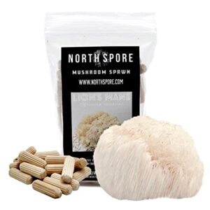 north spore lion's mane mushroom plugs for logs (100 count) | premium quality mushroom plug spawn | handmade in maine, usa | grow gourmet mushrooms outdoors on logs