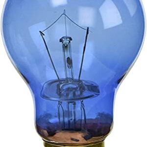 Fluker's Reptile Incandescent Daylight Bulb for Pet Habitat Blue 25W - Includes Attached DBDPet Pro-Tip Guide