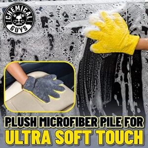 Chemical Guys MIC510 The Stranger Helpful Handy Car Wash Mitt