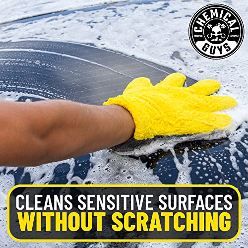 Chemical Guys MIC510 The Stranger Helpful Handy Car Wash Mitt