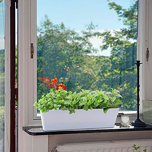 Window Boxes Planters, GREANER 3PCS 16x3.8 Inch Large Herb Planters with Tray, Indoor Succulent Cactus Flowers Vegetable Plastic Rectangle Pots for Balcony, Office, Garden, Outdoor, Windowsill (White)