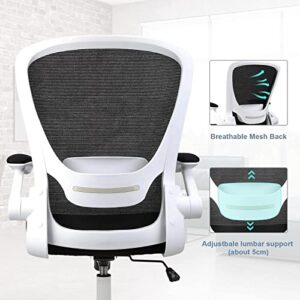 Ergousit Home Office Chair, Ergonomic White Desk Chair Adjustable Mesh Computer Chair with Lumbar Support and Larger Seat Flip UP Armrest Swivel Executive Chair, 250Lbs Capacity (White)