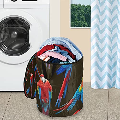 Parrot Pop Up Laundry Hamper With Lid Foldable Laundry Basket With Handles Collapsible Storage Basket Clothes Organizer for Travel Kids Room