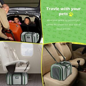 Minthouz Cat Carrier, Four-side Expandable Pet Carrier Airline Approved Dog Carrier with Safty Leash and Shoulder Strap, Collapsible Puppy Carrier with Self-lock Zipper,Removable Fleece Pad and Pocket