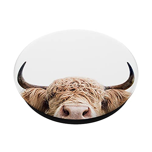 Highland Cow Picture PopSockets Swappable PopGrip