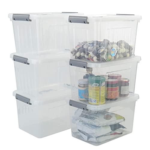 Callyne 10 L Clear Plastic Storage Box, 6-Pack Storage Latch Box