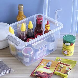 Callyne 10 L Clear Plastic Storage Box, 6-Pack Storage Latch Box