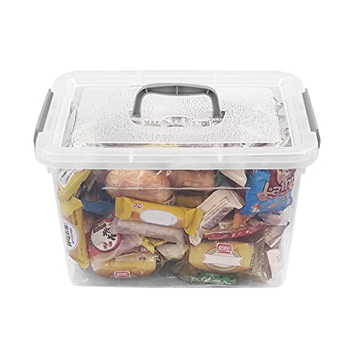 Callyne 10 L Clear Plastic Storage Box, 6-Pack Storage Latch Box