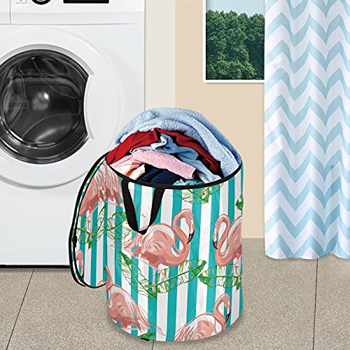 Tropical Flamingo Pop Up Laundry Hamper with Lid Foldable Storage Basket Collapsible Laundry Bag for Camping Picnics Bathroom