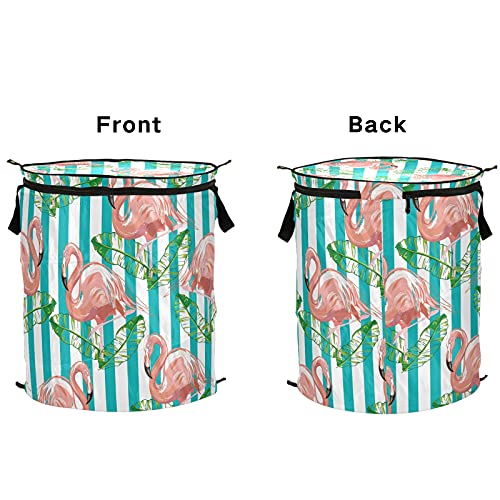 Tropical Flamingo Pop Up Laundry Hamper with Lid Foldable Storage Basket Collapsible Laundry Bag for Camping Picnics Bathroom