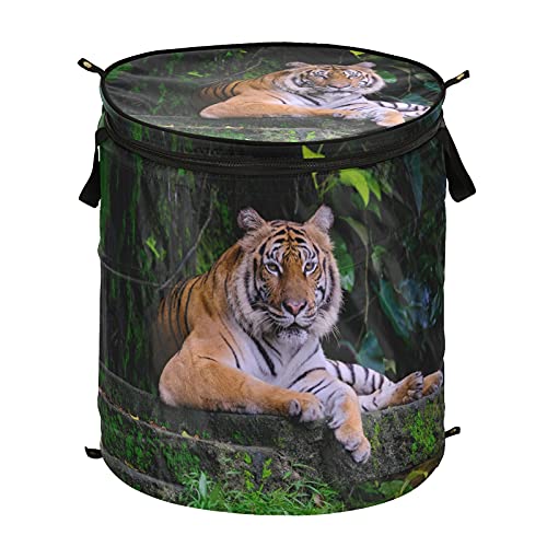 Tiger Animal Green Pop Up Laundry Hamper with Lid Foldable Storage Basket Collapsible Laundry Bag for Travel Hotel kids Room