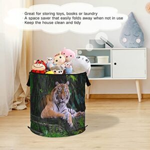 Tiger Animal Green Pop Up Laundry Hamper with Lid Foldable Storage Basket Collapsible Laundry Bag for Travel Hotel kids Room