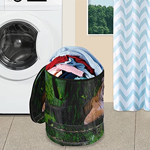 Tiger Animal Green Pop Up Laundry Hamper with Lid Foldable Storage Basket Collapsible Laundry Bag for Travel Hotel kids Room