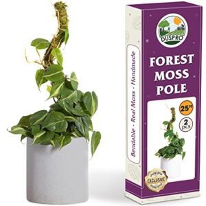 duspro 2 pack 25 inch real moss pole for monstera bendable plant stakes, sphagnum handmade slim forest moss stick, potted plants support/totem perfect for small/medium climbing plants indoor