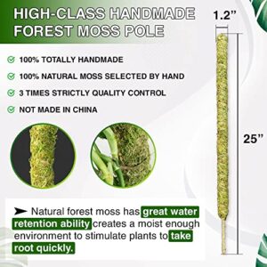 DUSPRO 2 Pack 25 Inch Real Moss Pole for Monstera Bendable Plant Stakes, Sphagnum Handmade Slim Forest Moss Stick, Potted Plants Support/Totem Perfect for Small/Medium Climbing Plants Indoor