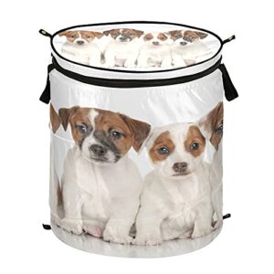 xigua jack russell terrier puppies pop up laundry hamper bucket cylindric, foldable clothes bag, folding washing bin,large capacity zipper lid laundry storage basket